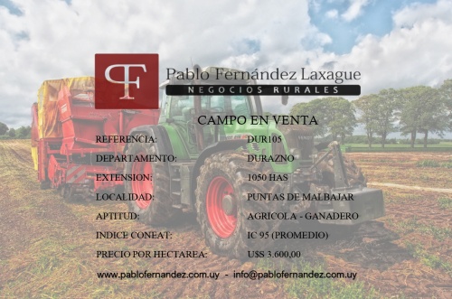 Campo / Chacra en Venta en Puntas De Malbajar, Durazno