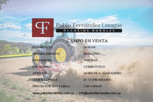 Campo / Chacra en Venta en Cerrizuelo, Durazno