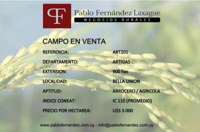 Campos  501 a 1000 has en Venta en Bella Unión, Artigas