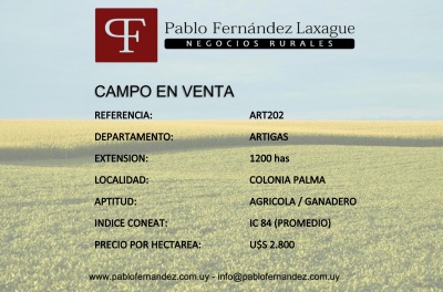 Campos 1001 a 2000 has en Venta en Colonia  Palma, Artigas
