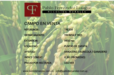Campos mayores a 4000 has en Venta en Vergara, Treinta y Tres
