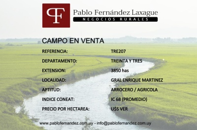 Campos 2001 a 4000 has en Venta en General Enrique Martínez, Treinta y Tres