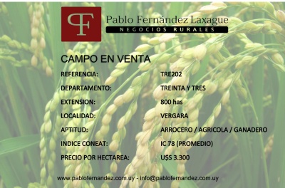 Campos  501 a 1000 has en Venta en Vergara, Treinta y Tres