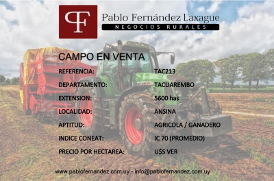 Campos mayores a 4000 has en Venta en Villa Ansina, Tacuarembó