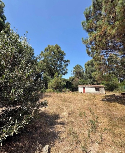 Terrenos en Venta en Pinamar, Canelones