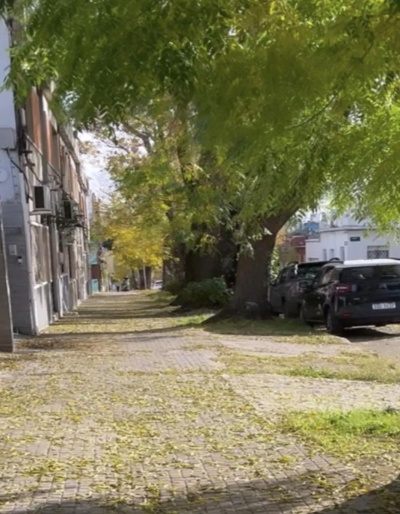 Casas en Venta en Parque Batlle, Montevideo