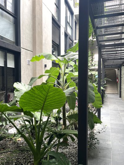 Apartamento en Alquiler en Palermo, Montevideo