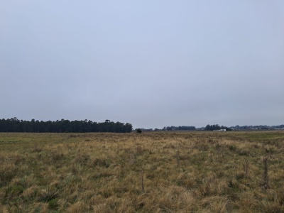 Campo en Venta en Zona Rural, Sauce, Canelones