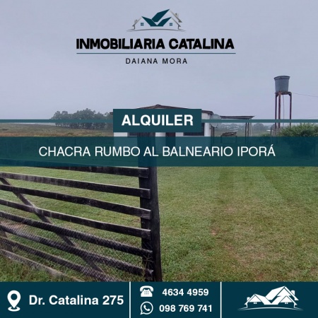 Casa en Alquiler en Tacuarembó, Tacuarembó