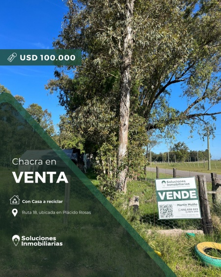 Campo / Chacra en Venta en Río Branco, Cerro Largo