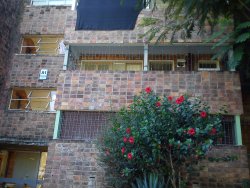 Casas - Apartamentos en Alquiler en Salto
