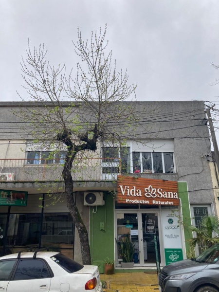 Casas en Venta en Centro, Tacuarembó