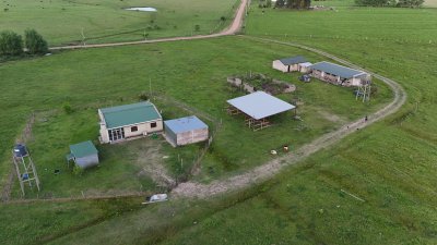 Campos y Chacras en Venta, Alquiler en Tacuarembó, Tacuarembó