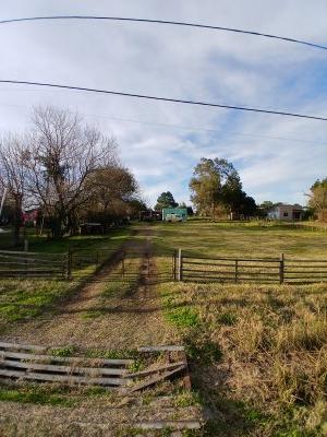 Casas en Alquiler en Tacuarembó, Tacuarembó