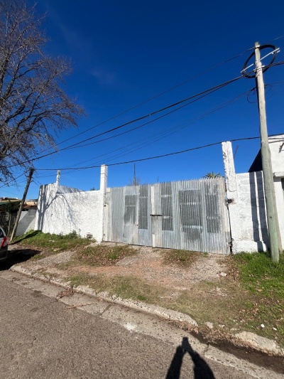 Terrenos en Alquiler en Centro, Tacuarembó, Tacuarembó