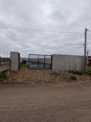 Terrenos en Alquiler en Tacuarembó, Tacuarembó