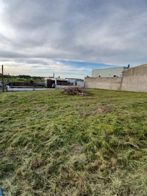 Terrenos en Venta en Rinaldi, Tacuarembó, Tacuarembó