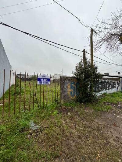 Terrenos en Venta en Centro, Tacuarembó