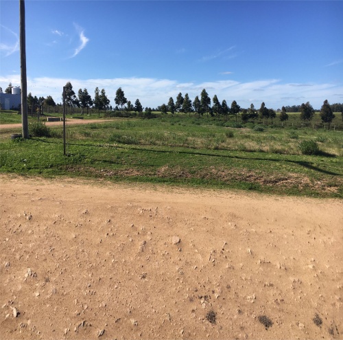 Terrenos en Venta en Campo Alto, Santa Bernardina, Durazno