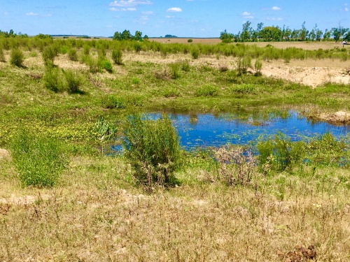 Campos y Chacras en Venta en Camino Rebollo, Durazno , Durazno