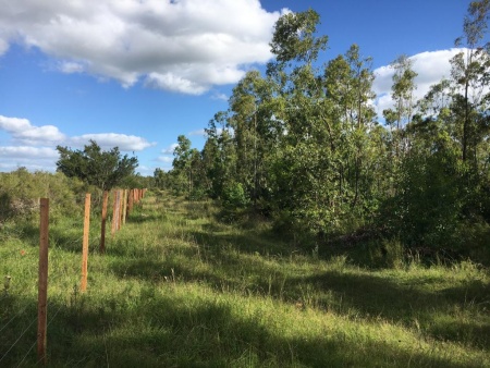 Campos y Chacras en Venta en La Curva, Durazno , Durazno