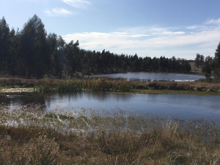 Campo / Chacra en Venta en Durazno , Durazno