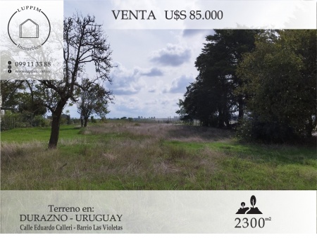 Terreno en Venta en Santa Bernardina, Durazno , Durazno