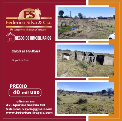 Chacra en Venta en Barrio Los Molles, Tacuarembó, Tacuarembó
