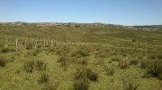 Campo / Chacra en Venta en Minas, Lavalleja