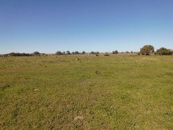 Campo / Chacra en Venta en Minas, Lavalleja