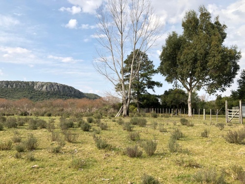 Campos y Chacras en Venta en Minas, Lavalleja