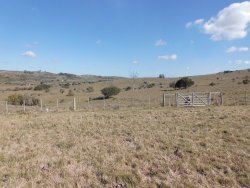 Campo / Chacra en Venta en Minas, Lavalleja