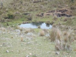 Campo / Chacra en Venta en Minas, Lavalleja