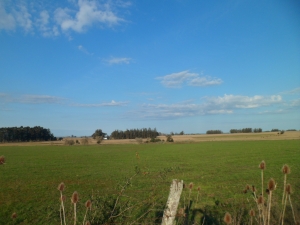 Campo / Chacra en Venta en Barrancas, Lavalleja