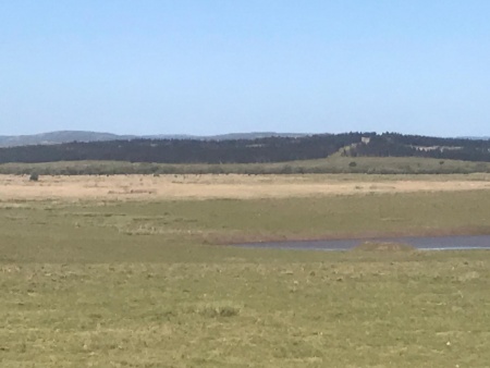 Campo / Chacra en Venta en Pirarajá, Lavalleja