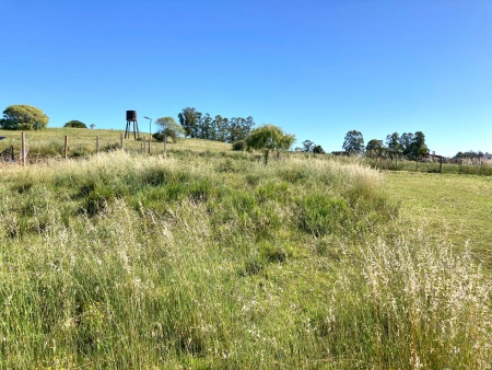 Terrenos en Venta en Minas, Lavalleja