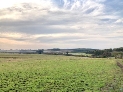 Campos y Chacras en Venta en Minas, Lavalleja