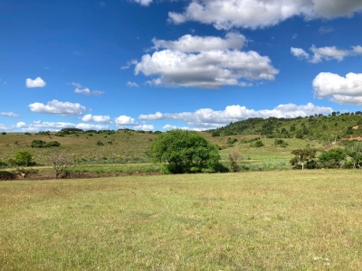 Terrenos en Venta en Minas, Lavalleja