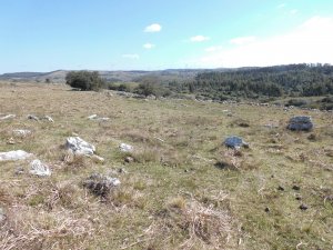 Campos y Chacras en Venta en Minas, Lavalleja