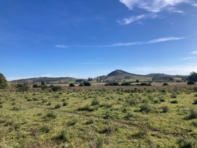 Terreno en Venta en Minas, Lavalleja