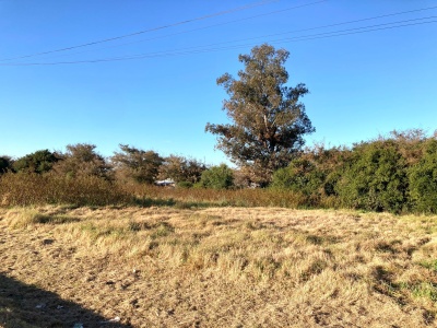 Terreno en Venta en Minas, Lavalleja