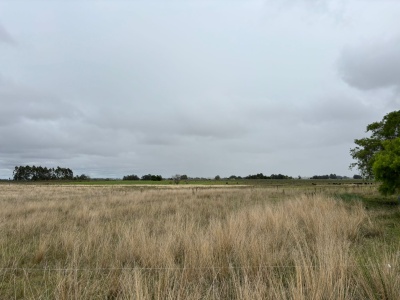 Chacra en Venta en Minas, Lavalleja