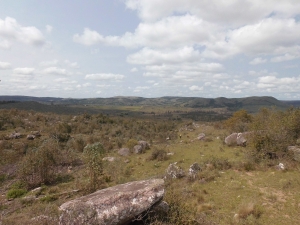 Campo / Chacra en Venta en Barriga Negra, Lavalleja