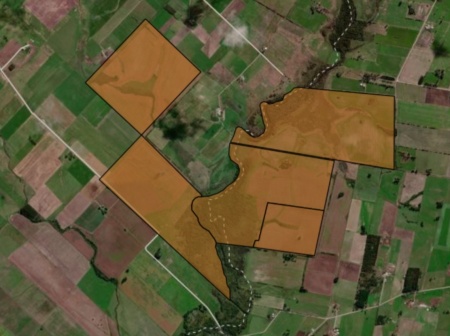 Campo / Chacra en Venta en Rincon del Pino, San José