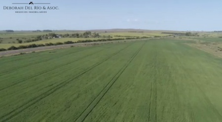 Campo / Chacra en Venta en Trinidad, Flores