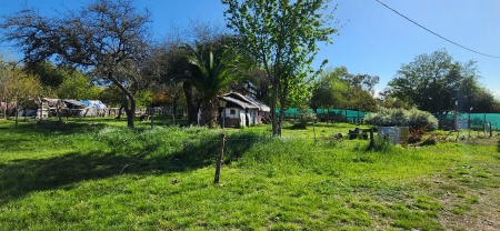 Terreno en Venta en LOS ARRAYANES, Los Arrayanes, Soriano