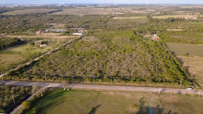 Campo en Venta en Fray Bentos, Río Negro