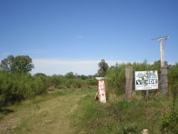 Campo / Chacra en Venta en Los Arrayanes, Soriano