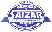 Escritorio Pascal Saizar