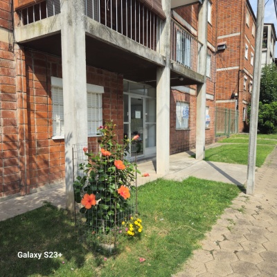 Apartamento en Alquiler en Liceo Campos-Rambla, Mercedes, Soriano